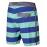 Бордшорты Mystic 2016 Lighthouse Boardshorts Dynamic Blue