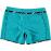  Женские бордшорты Mystic 2017 Lagoon Boardshorts Pacific Green